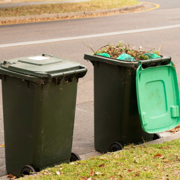 A regular bin and a green waste bin with an open lid on the side of a road.