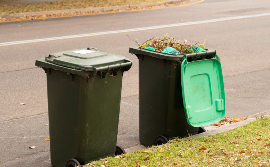 A regular bin and a green waste bin with an open lid on the side of a road.